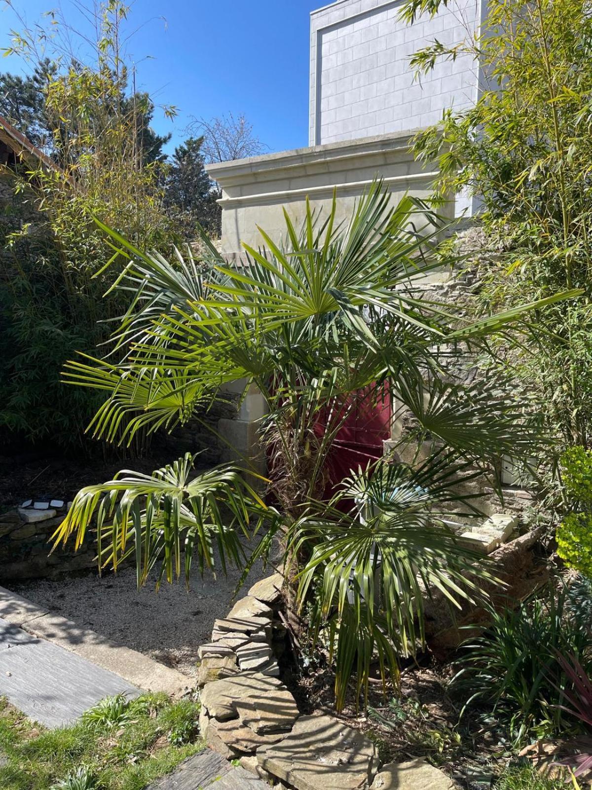 נאנט Logement Entier - La Laiterie De La Plume מראה חיצוני תמונה