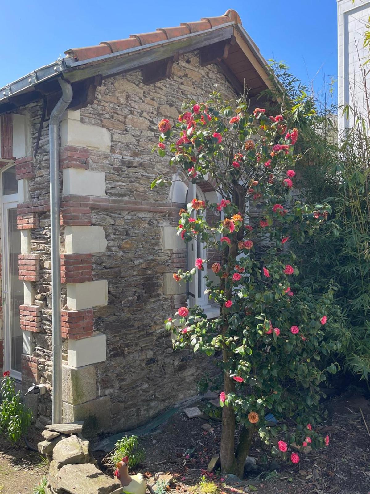 נאנט Logement Entier - La Laiterie De La Plume מראה חיצוני תמונה
